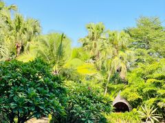 -厦门日月谷温泉渡假村