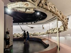 -自贡恐龙博物馆