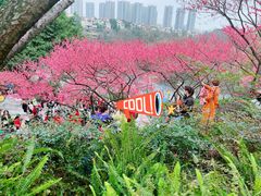 -重庆彩云湖湿地公园