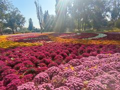 -国家植物园南园