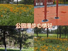 -莫子山公园