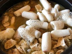 -易门野生菌府·菌海森林(月牙潭公园店)