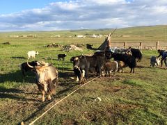 -青海湖国家重点风景名胜区