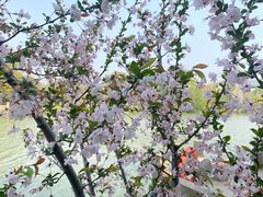 -南通濠河风景名胜区