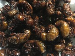 -海拉尔碳烤羊腿烤鸽子(吕营店)