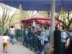 游乐设施-上海共青森林公园