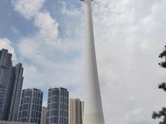-辽宁电视塔