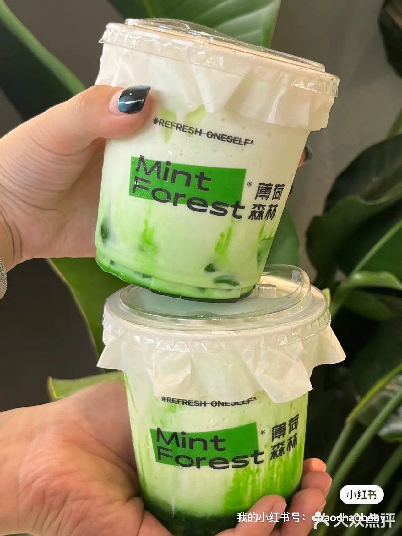 刚开业就大排长龙的薄荷森林