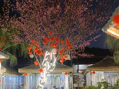 -醉月城西昌火盆烧烤(天府店)