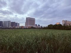 -龙环葡韵住宅式博物馆