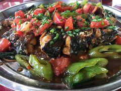 -生态苑农庄(十里画廊遇龙河店)