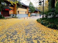 -灵谷景区