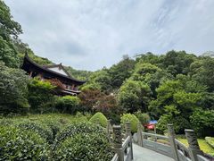 -十八棵（老龙井）御茶园(老龙井店)