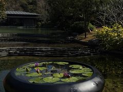-云溪植物园