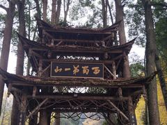 -青城山