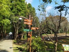 -上海滨江森林公园