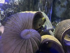 -正佳极地海洋世界