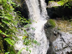 -藏龙百瀑风景区