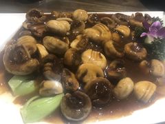 -梁溪河畔·吉府花园(南长街南下塘店)