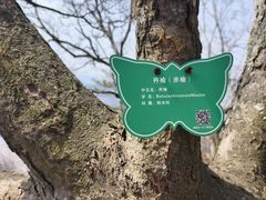 -五女山景区