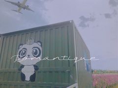 -空港花田景区