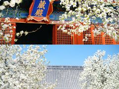 -北京艺术博物馆(万寿寺)