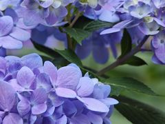 -北京市劳动人民文化宫(太庙)