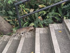 -广州市白云山风景名胜区