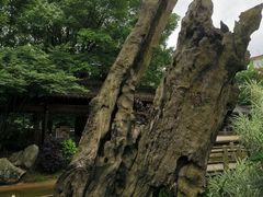 -绳金塔