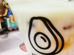 -油梨树 AVOCADO TREE(亮马桥店)