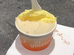 -Dip in Gelato(富民路店)