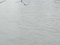 -海河游船-永乐码头(大悲院)