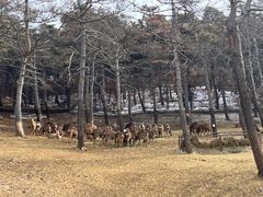 -沈阳森林动物园