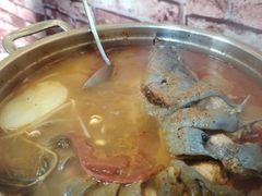 酸汤鲶鱼锅-弘烨 贵州酸汤 鱼火锅(东财店)