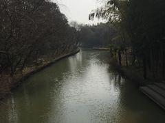 -同里国家湿地公园