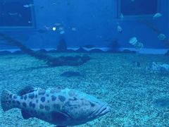 -日照世帆赛基地