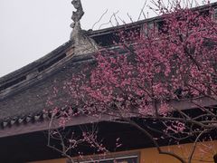 -无锡梅园公园