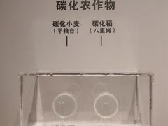 -北京大学赛克勒考古与艺术博物馆