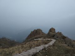 -白草畔自然风景区