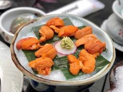 鲜活海胆-王鼎精致料理铁板烧(世博源店)