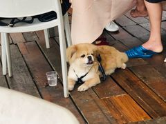 -美人鱼悬崖海景餐厅(鹿嘴山庄店)
