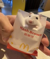 -美丽田园
