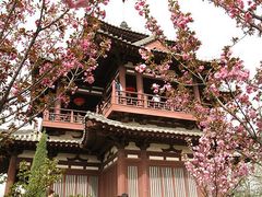 景点-西安青龙寺遗址景区