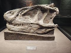 -自贡恐龙博物馆