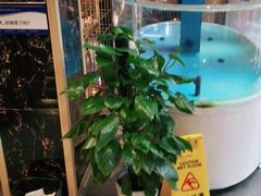 -辣得叫湘菜(四明店)