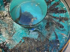 -魏铭鱼头捞饭(晋阳路店)