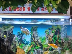 -周先生石花膏