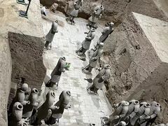 -秦始皇帝陵博物院(兵马俑)