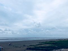 -南汇嘴观海公园