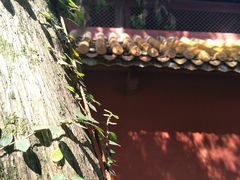 -南岳衡山风景名胜区-南岳大庙